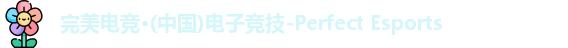 完美电竞